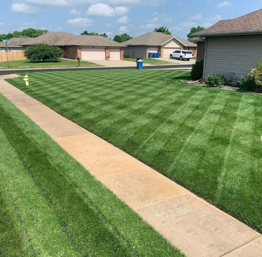 💥sorprendente 😱Hot Sale Green🤩Grass Lawn Spray💯